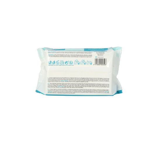 PAPEL HIGIENICO HUMEDO SALUSTAR CON TAPA 100uds image number