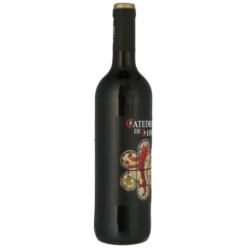 Vino tinto catedral de Le&oacute;n 75cl image number