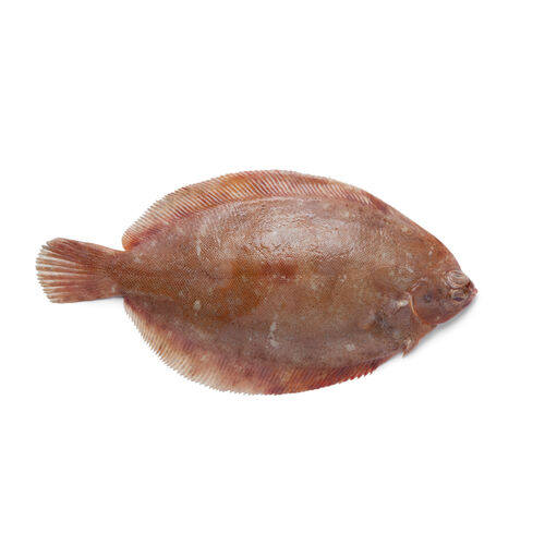 Lenguado kg image number