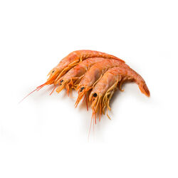 Langostino crudo 40/60kg