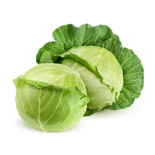 Repollo ud image number