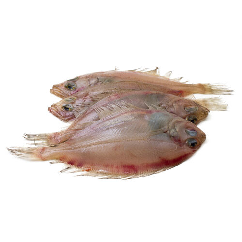 Gallos de filetes kg image number
