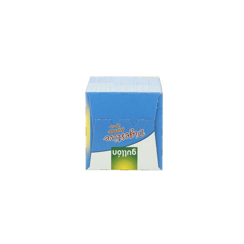 DIGESTIVE AVENA CHOCOLATE GULLON 425g image number