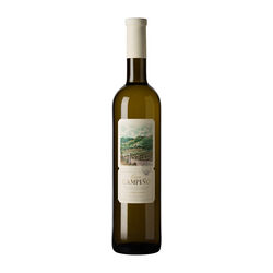 Vino blanco DOP Ribeiro GRAN CAMPI&Ntilde;O 75cl