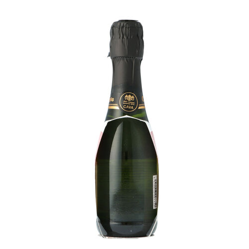 CAVA BENJAMIN T.R. 8 PAK 3B 0.200L..CODORNIU BENJAMIN.CAVA SECO PRESENTADO EN CAJA DE CARTON CON 8 PACKS DE 3 BOTELLAS DE.02 LITROS D.O. CAVA image number