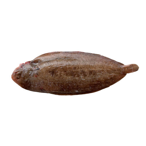 LENGUADO kg image number