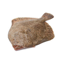 Rodaballo 450.6g unidad