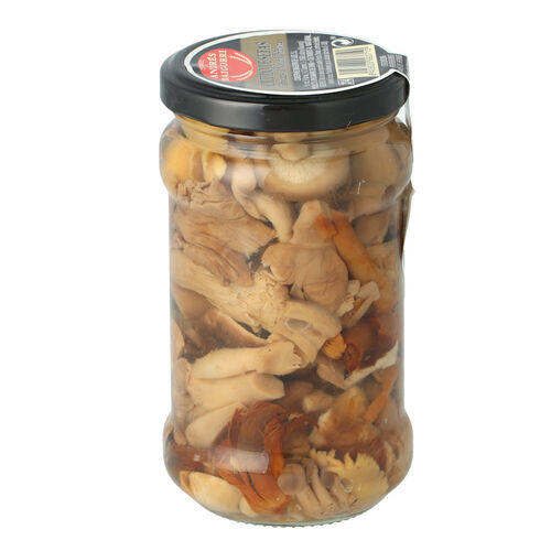 REVUELTO SETAS BAIGORRI 280g image number