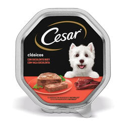 Comida h&uacute;meda para perro adulto con buey CESAR 150g