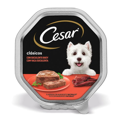 Comida h&uacute;meda para perro adulto con buey CESAR 150g image number