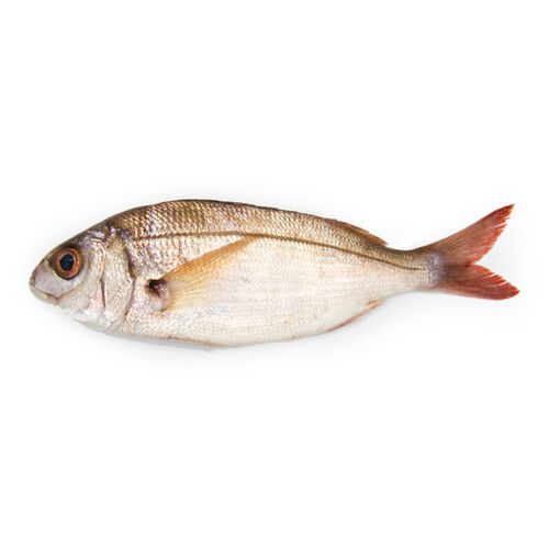 ALIGOTES kg image number
