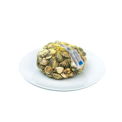 ALMEJA BABOSA BOLSA 500g