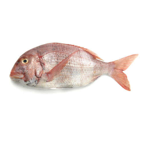 Pargo kg image number