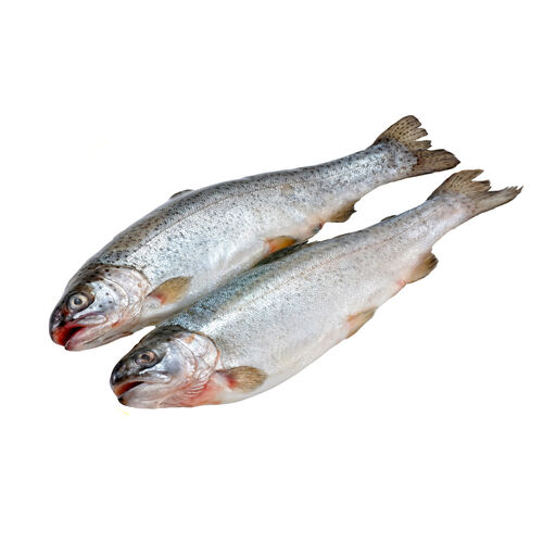 Truchitas (princesitas) kg image number