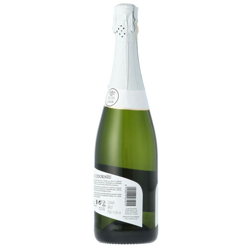 Cava brut anna CODORNIU 75cl image number