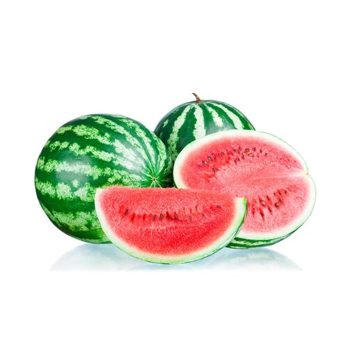 SANDIA RAYADA KILO image number