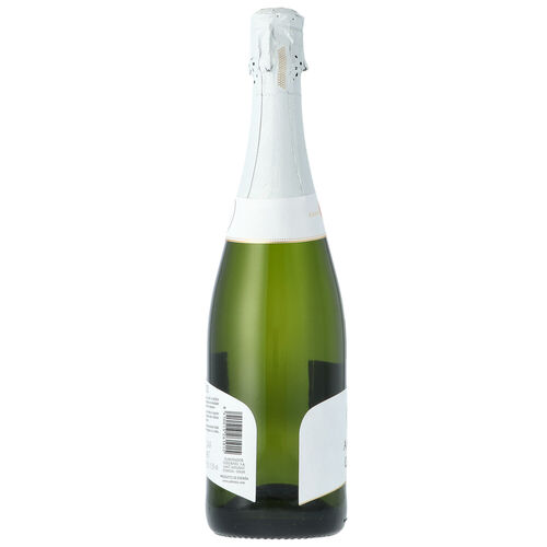 Cava brut anna CODORNIU 75cl image number