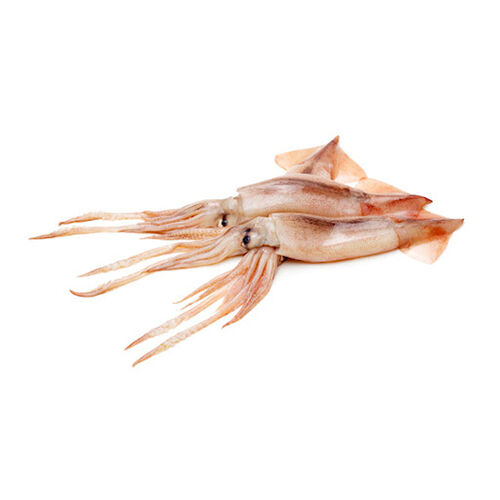 POTA FRESCA RULA kg image number