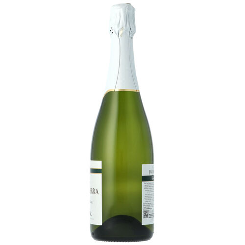 Cavas JAUME SERRA brut nature 750ml botella image number