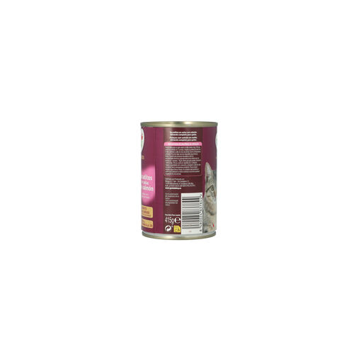 TANDY GATO BOCADITO SALMON LATA 415g image number
