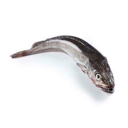 MERLUZA DE PINCHO DE 1 A 2kg
