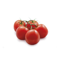 TOMATE EN RAMA kg
