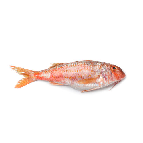 SALMONETE kg image number