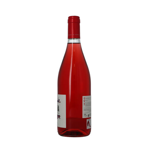 Vino rosado senorio sarria DO Navarra 750ml ml image number