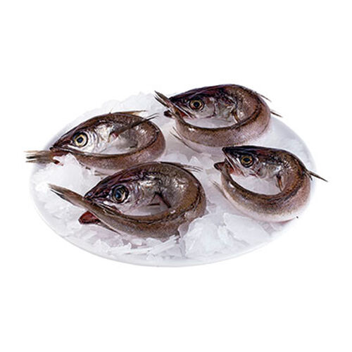 PESCADILLA kg image number