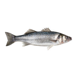 LUBINA 800/900g