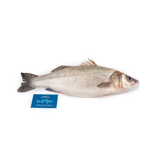 Lubina real de estero kg image number