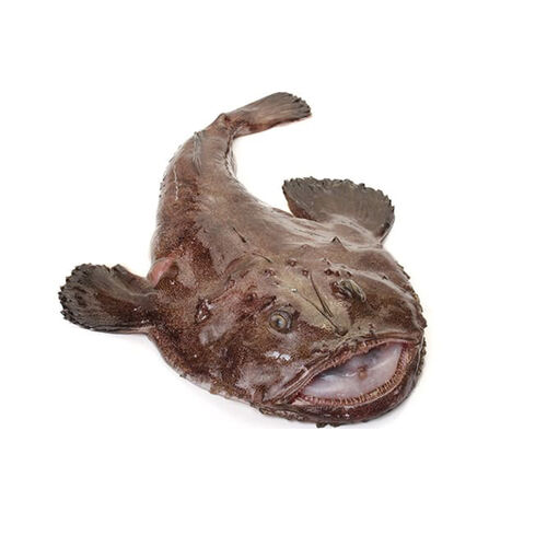 Pixin entero negro 2-3kg image number