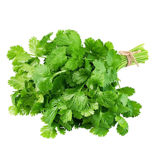 Cilantro blister 20g image number