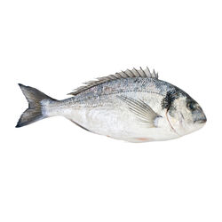 DORADA 800-900g