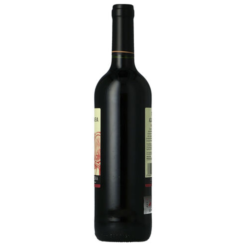 VINO TINTO VIÑA ALCAZABA CRIANZA DO MANCHA 750ml image number