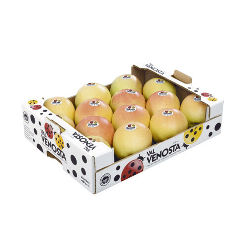 Manzana GOLDEN BIO.bja. image number