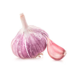 AJO ROJO BUTTI 250g