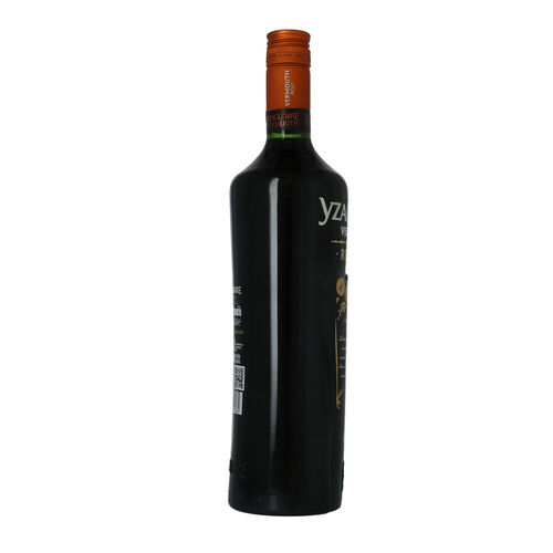 VERMOUTH YZAGUIRRE ROJO RESERVA 1L image number