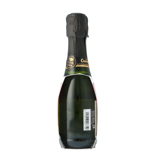 CAVA BENJAMIN T.R. 8 PAK 3B 0.200L..CODORNIU BENJAMIN.CAVA SECO PRESENTADO EN CAJA DE CARTON CON 8 PACKS DE 3 BOTELLAS DE.02 LITROS D.O. CAVA image number