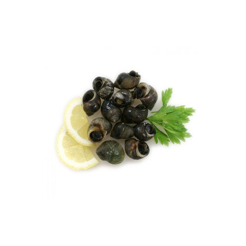 BIGAROS kg image number