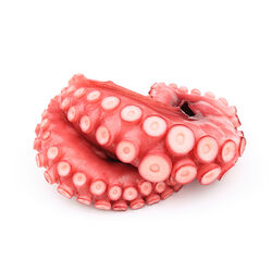 PATA DE PULPO COCIDA EN SU JUGO 350g
