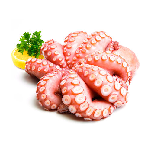 PULPO PEDRERO kg image number