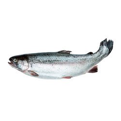 Salmón de 2 a 3kg entero kg