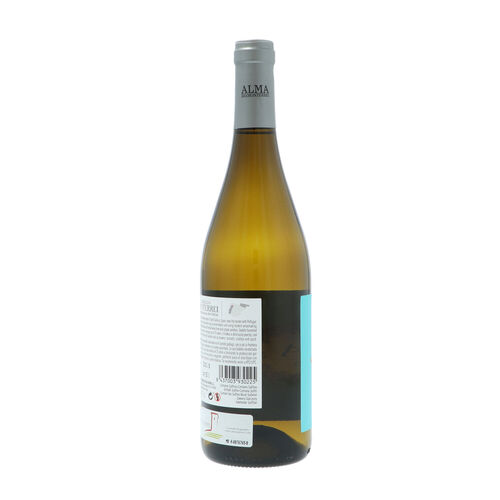 Vino blanco ALMA GODELLO DO Monterrei 750ml image number