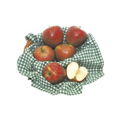 MANZANA JONAGORET kg