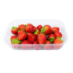 Fresa bandeja 500g