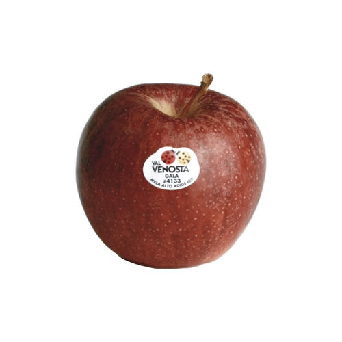 Manzana ROYAL gala BIO valvenosta b. image number