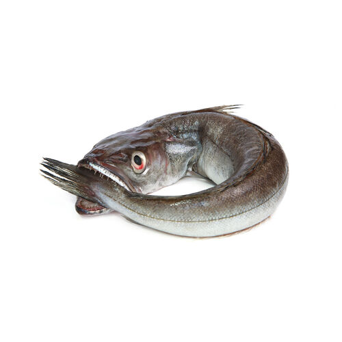 Merluza 3kg image number
