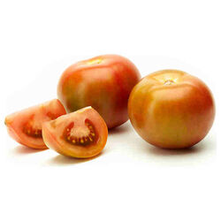 TOMATE Q kg