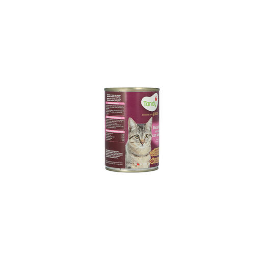 TANDY GATO BOCADITO SALMON LATA 415g image number
